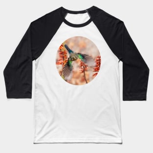 Sunbird and Aloes Baseball T-Shirt